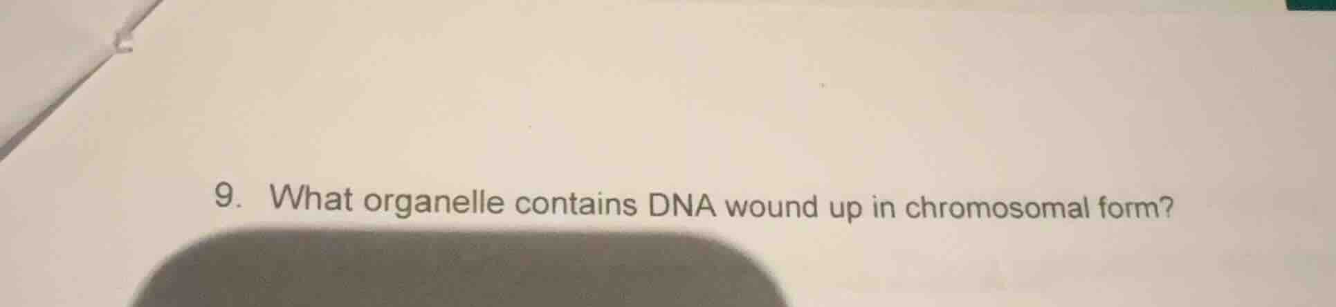 9. what organelle contains dna wound up in chromosomal form?
