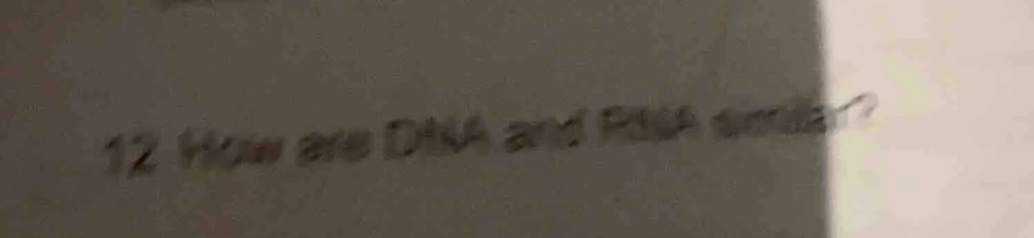 12 how are dna and rna similar?