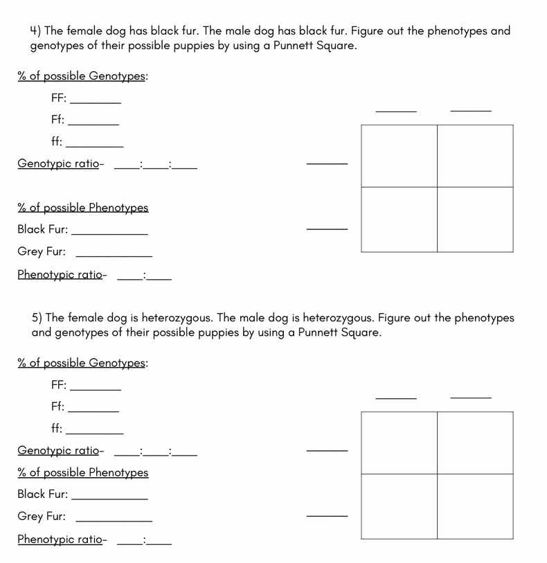 4) the female dog has black fur. the male dog has black fur. figure out…