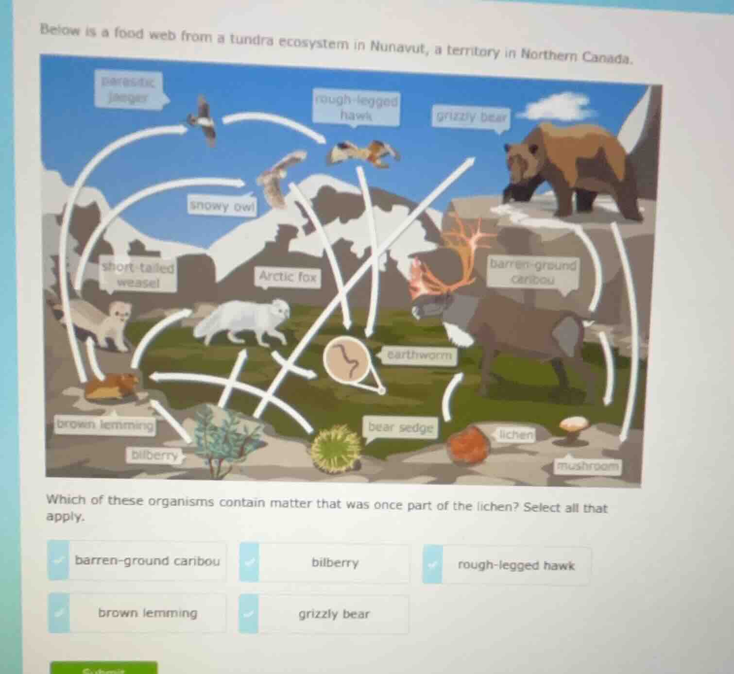 below is a food web from a tundra ecosystem in nunavut, a territory in …