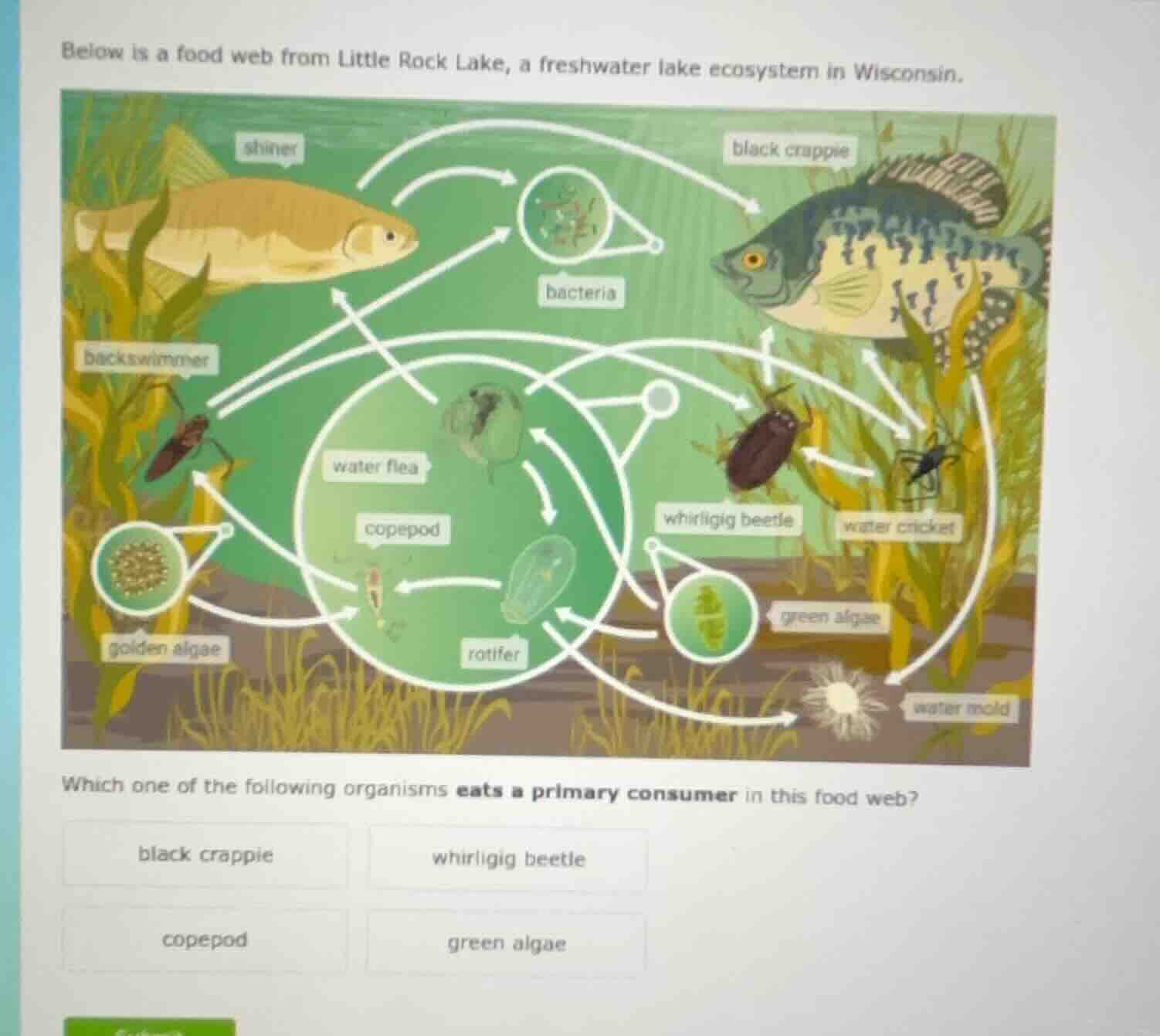 below is a food web from little rock lake, a freshwater lake ecosystem …
