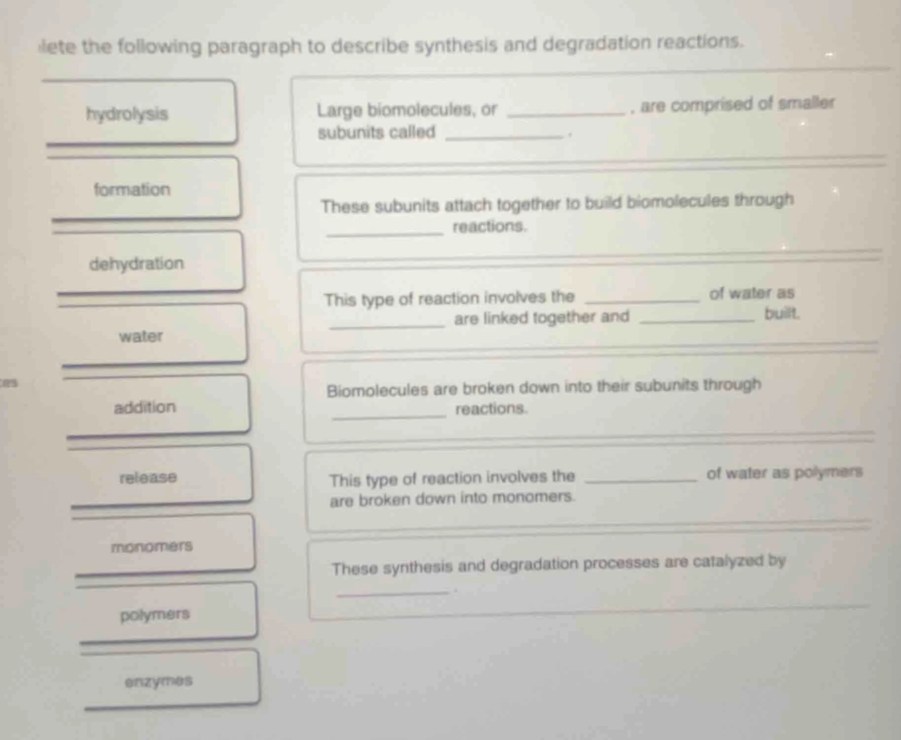lete the following paragraph to describe synthesis and degradation reac…