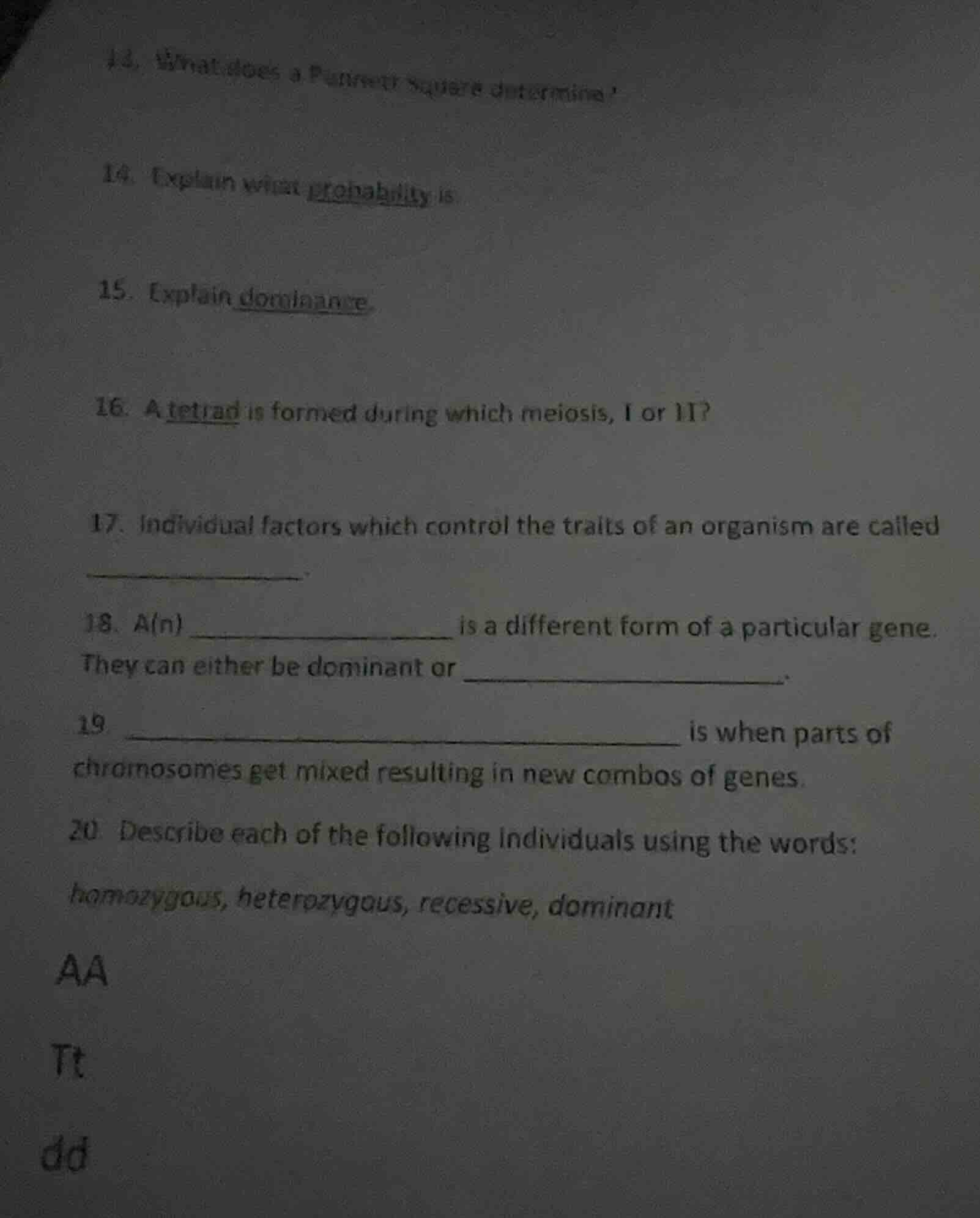 14. what does a punnett square determine? 14. explain what probability …