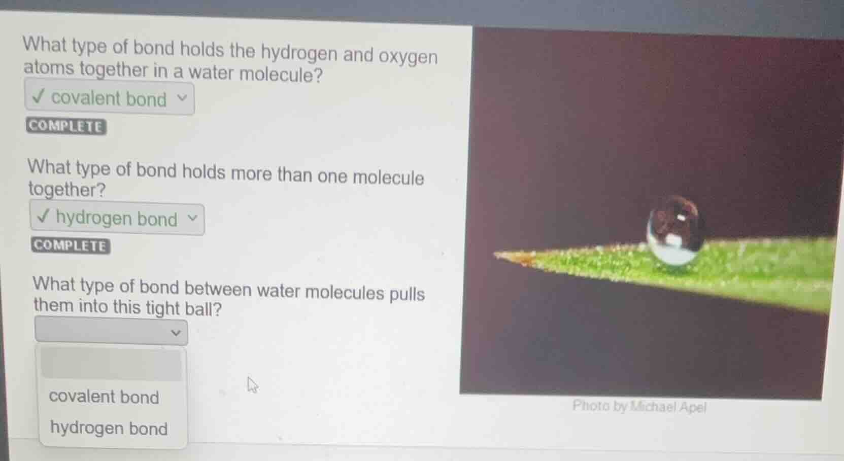 what type of bond holds the hydrogen and oxygen atoms together in a wat…