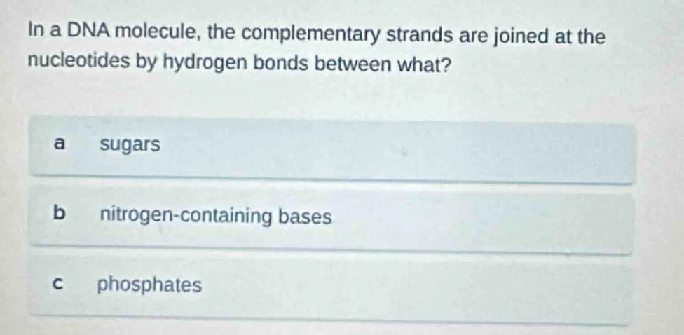 in a dna molecule, the complementary strands are joined at the nucleoti…