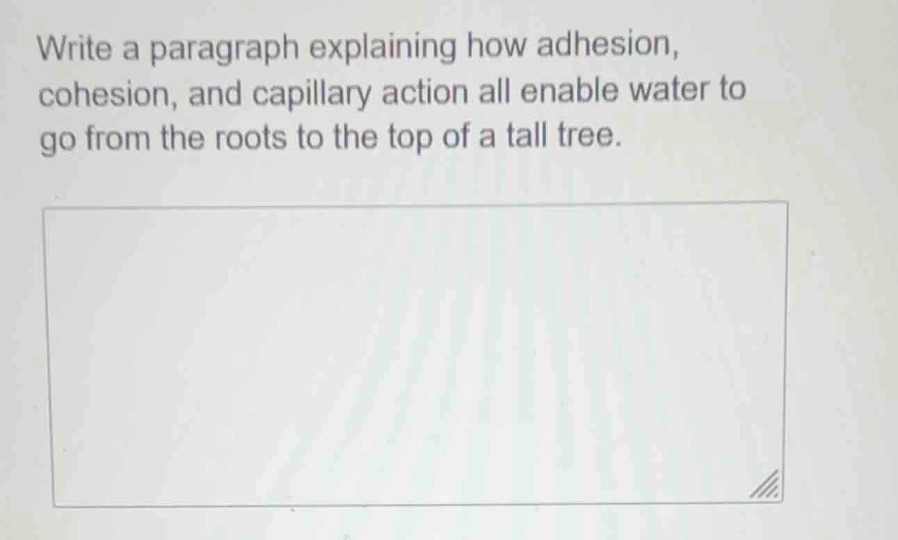 write a paragraph explaining how adhesion, cohesion, and capillary acti…