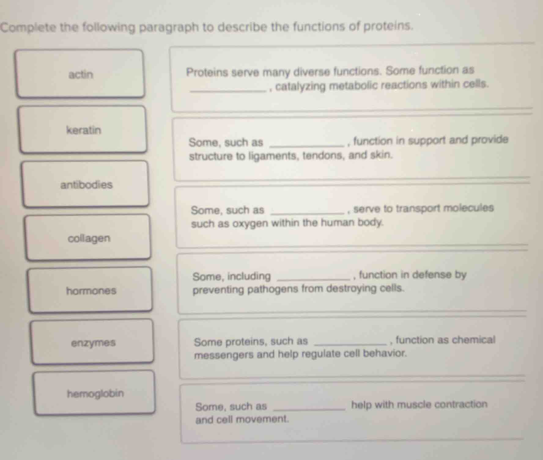 complete the following paragraph to describe the functions of proteins.…