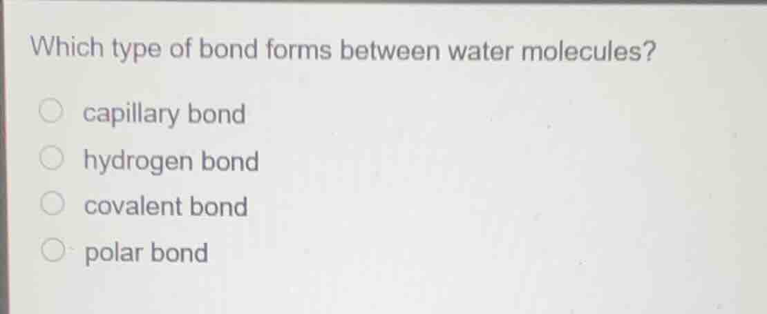 which type of bond forms between water molecules? capillary bond hydrog…
