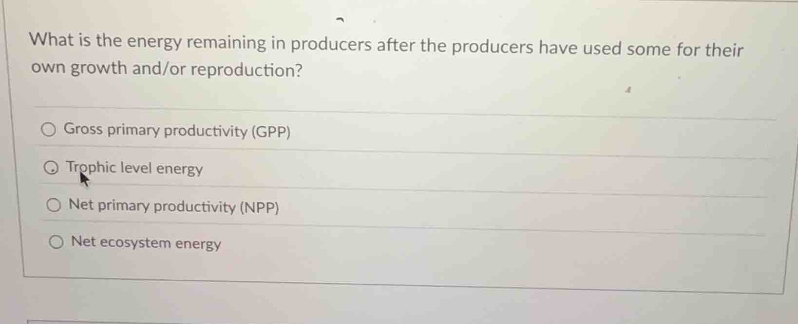 what is the energy remaining in producers after the producers have used…