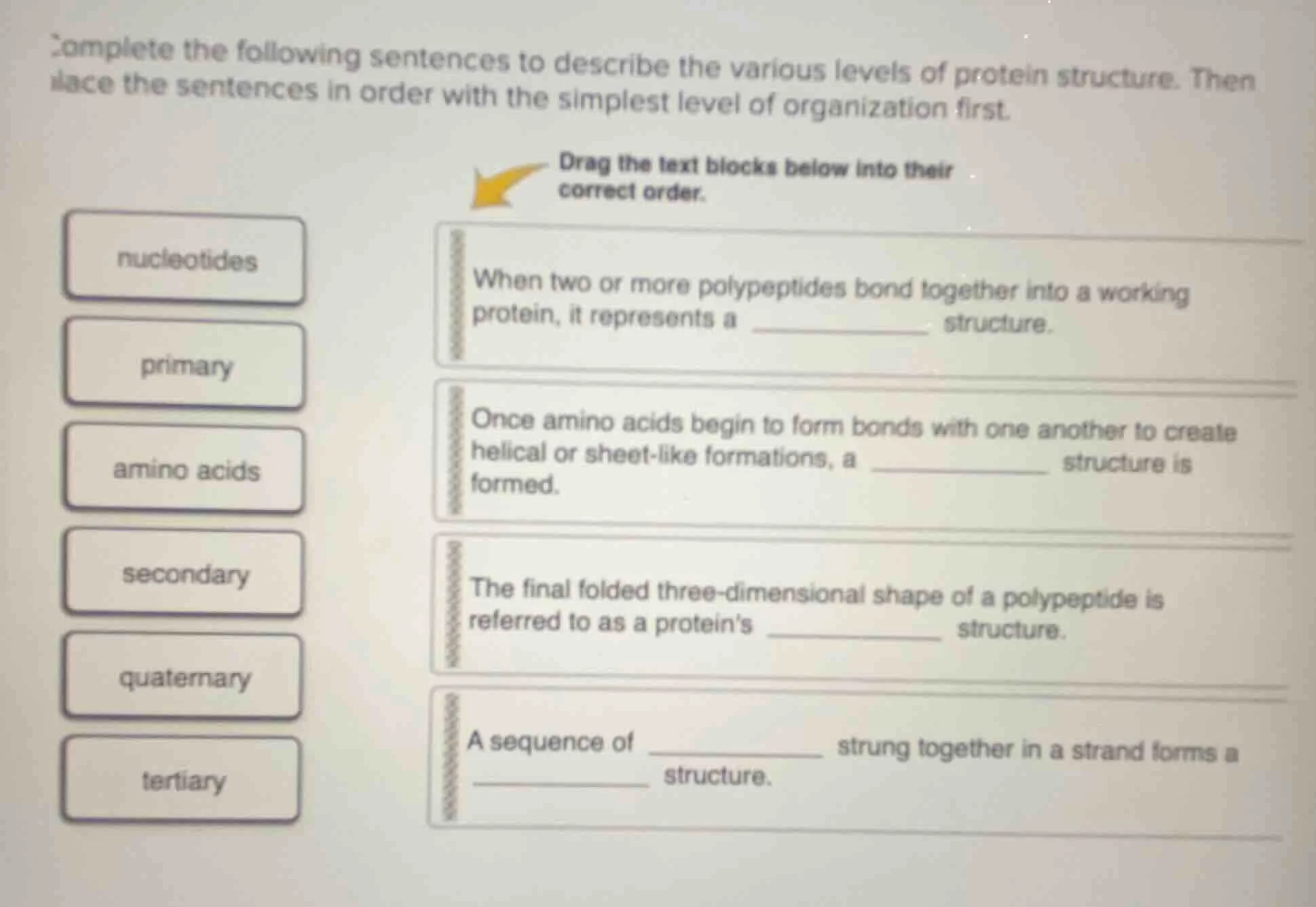 complete the following sentences to describe the various levels of prot…
