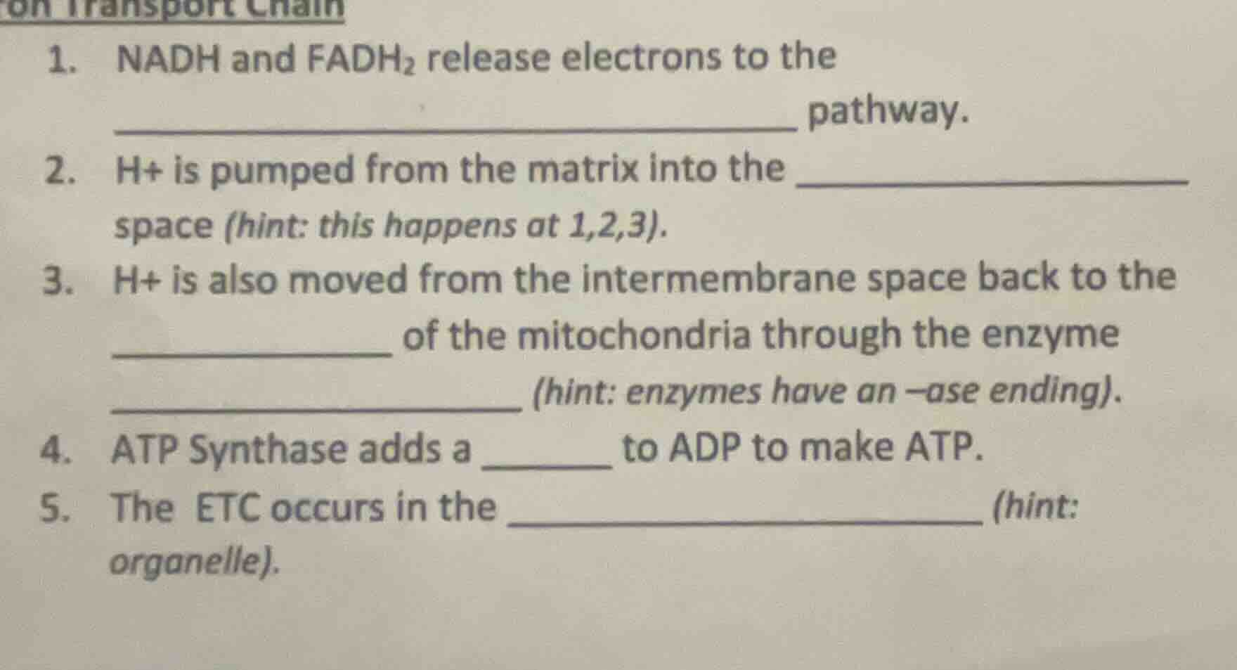 1. nadh and fadh₂ release electrons to the ____________________________…