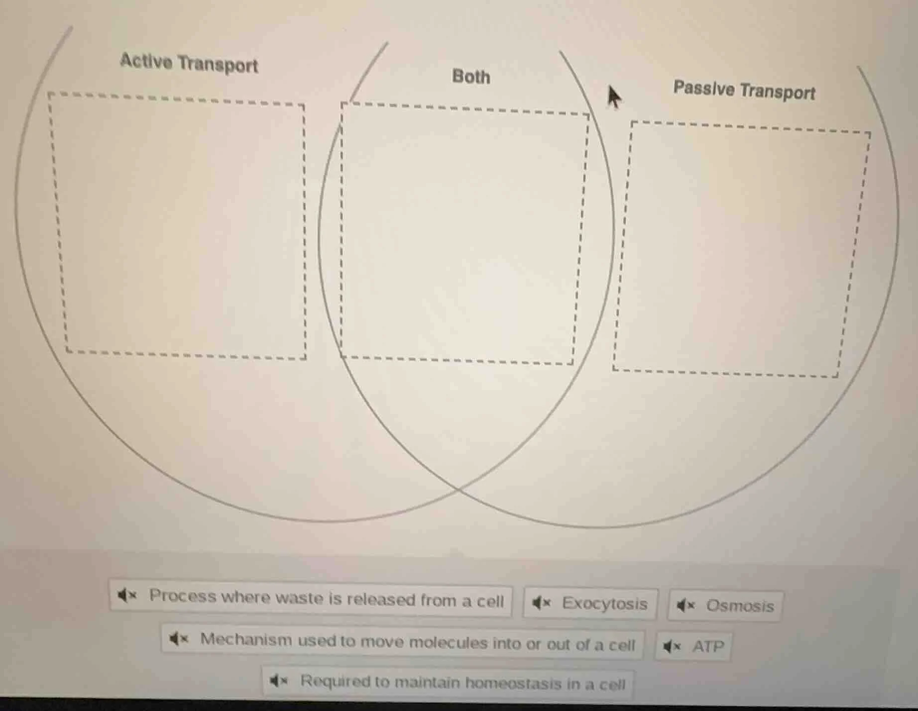 active transport both passive transport process where waste is released…