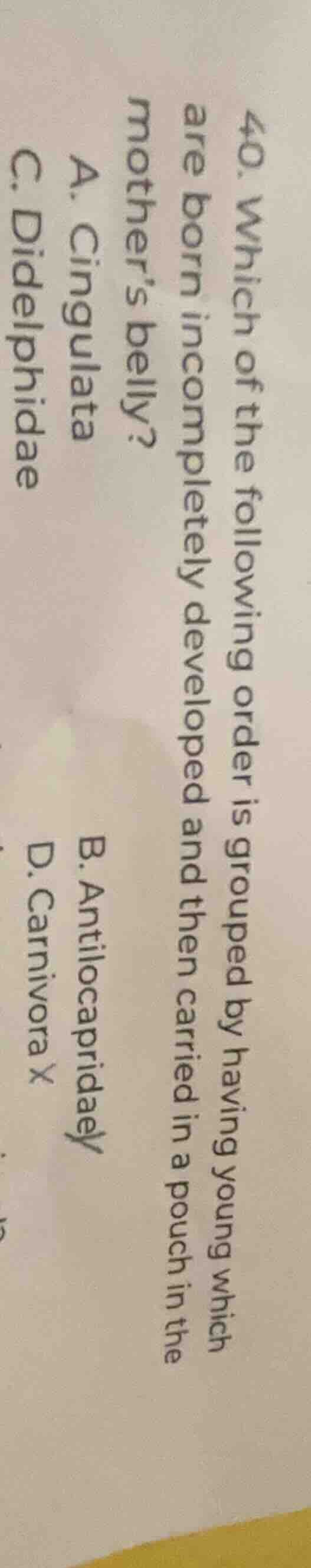 40. which of the following order is grouped by having young which are b…