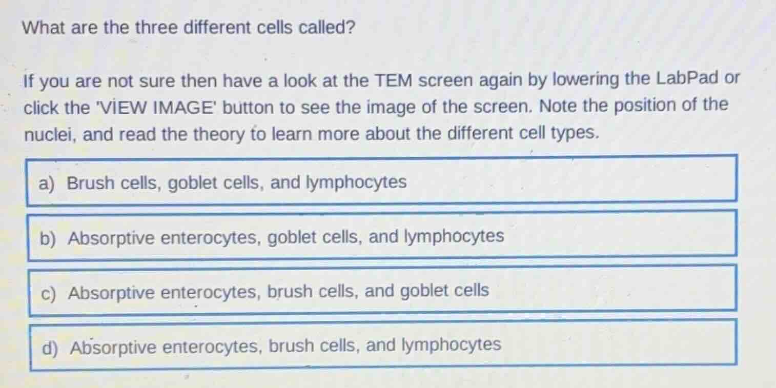 what are the three different cells called? if you are not sure then hav…