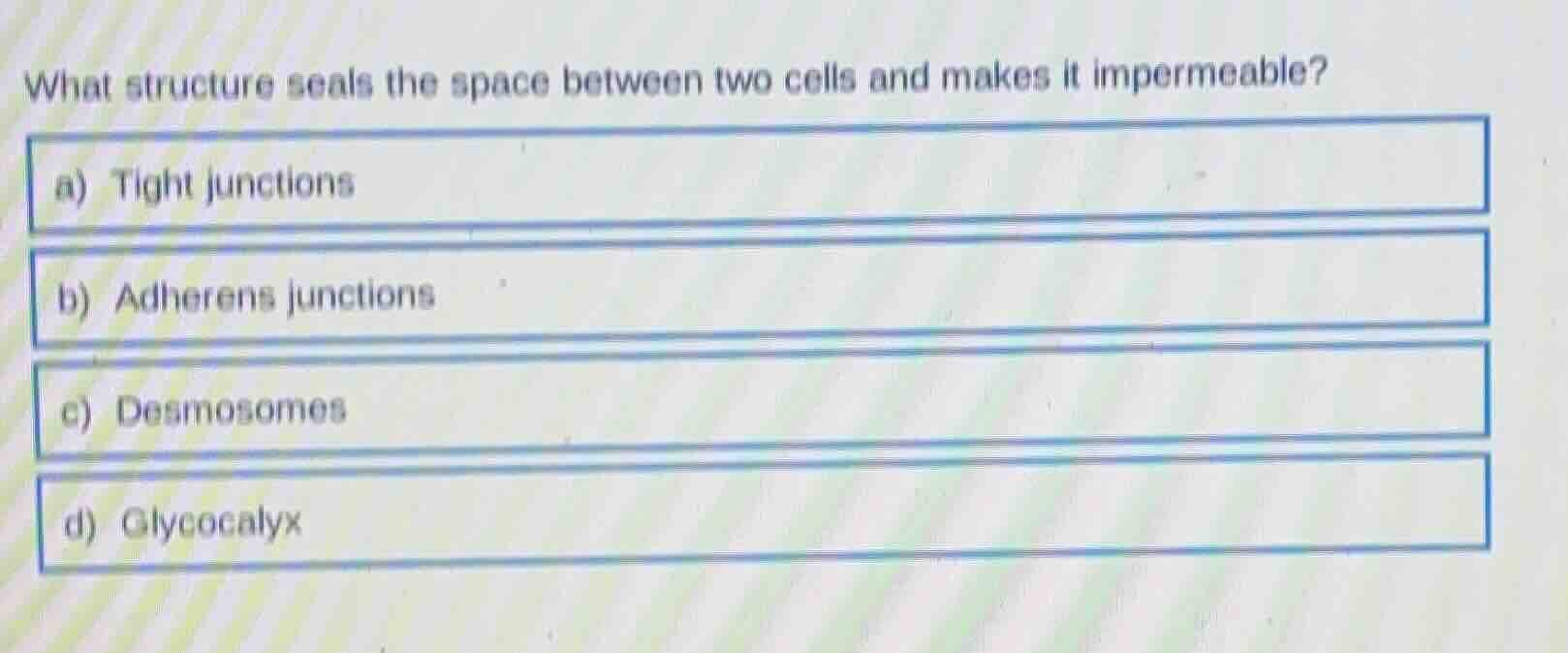 what structure seals the space between two cells and makes it impermeab…