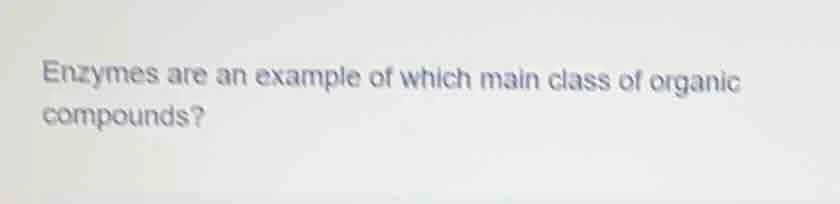 enzymes are an example of which main class of organic compounds?