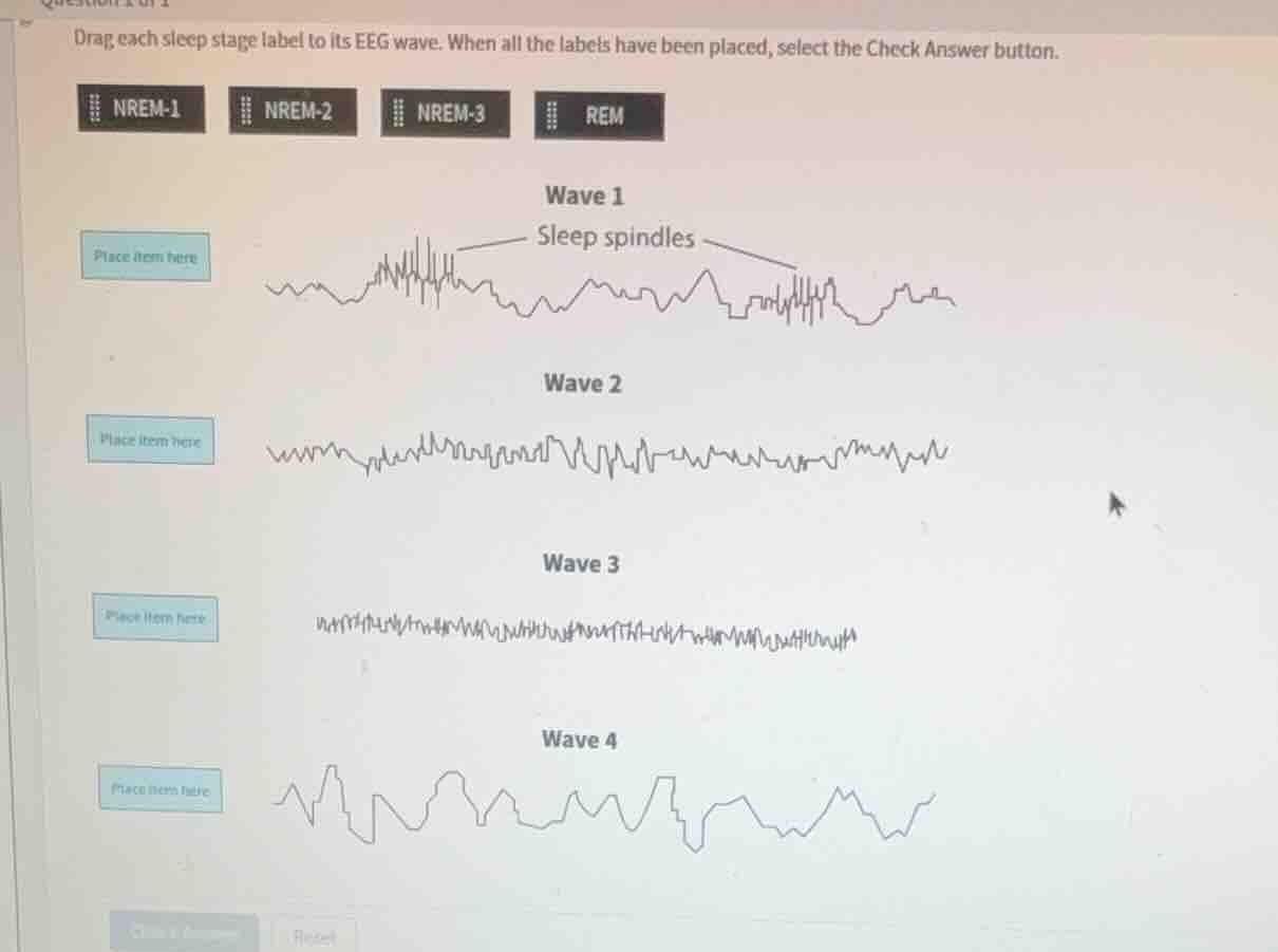 drag each sleep stage label to its eeg wave. when all the labels have b…