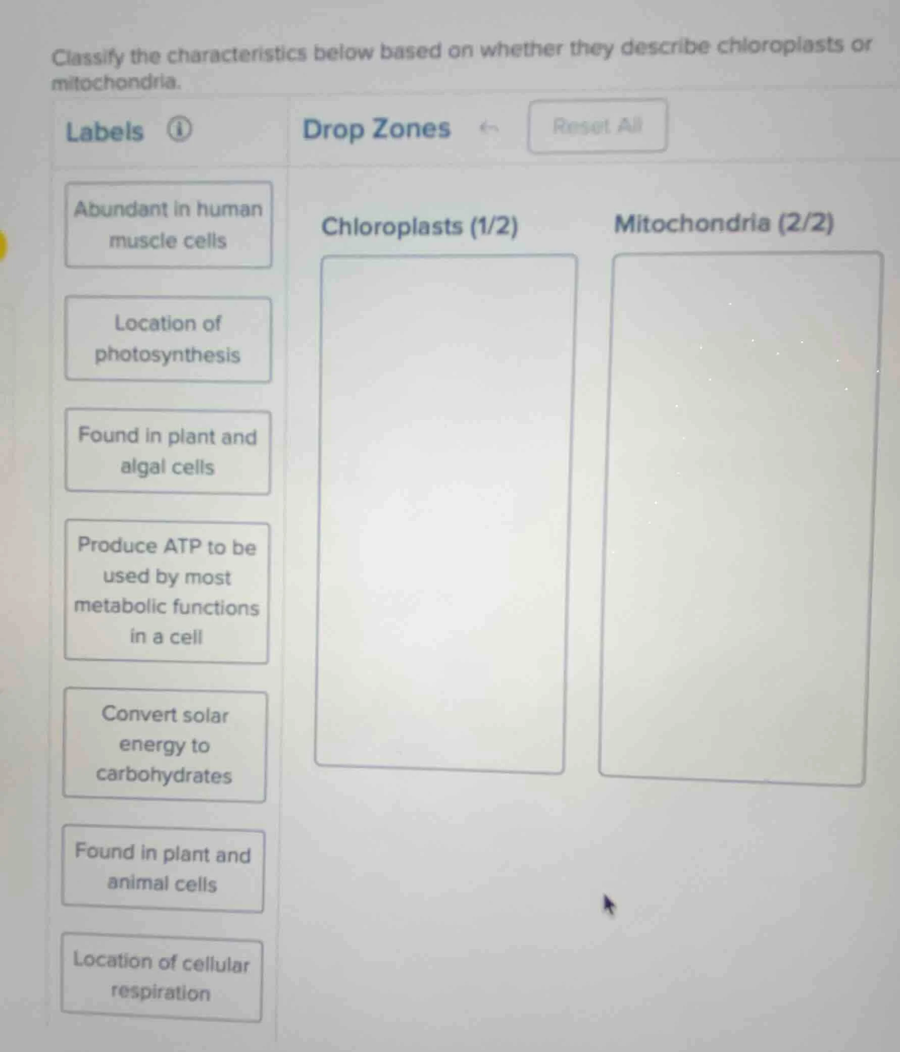 classify the characteristics below based on whether they describe chlor…