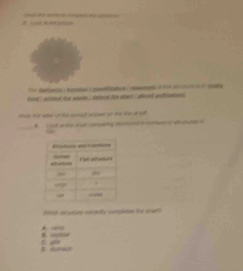 choose the words to complete the sentence 5. look at the picture the ba…