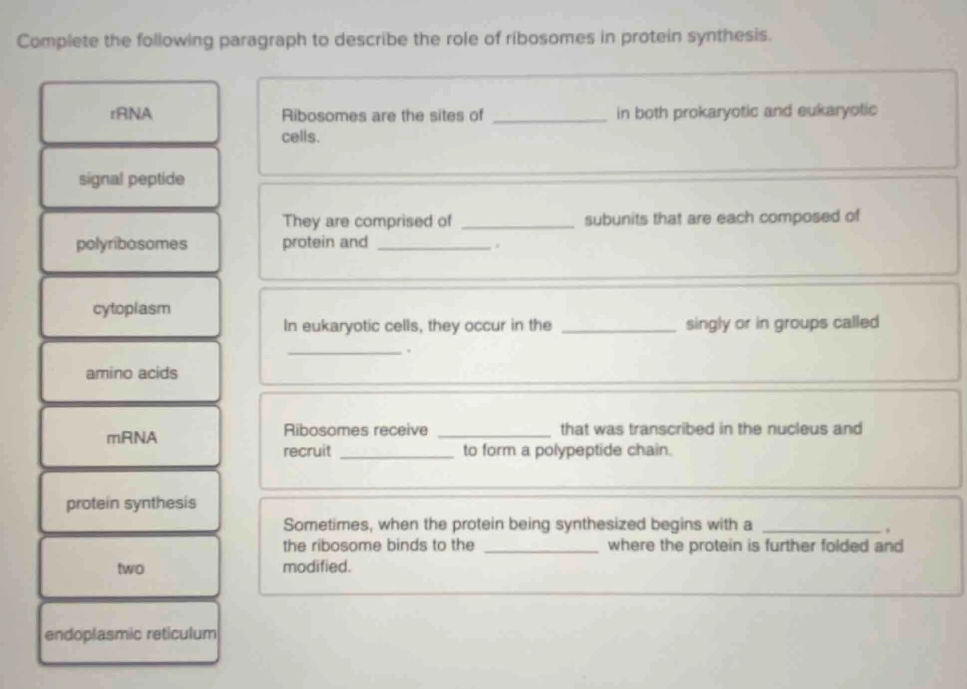 complete the following paragraph to describe the role of ribosomes in p…