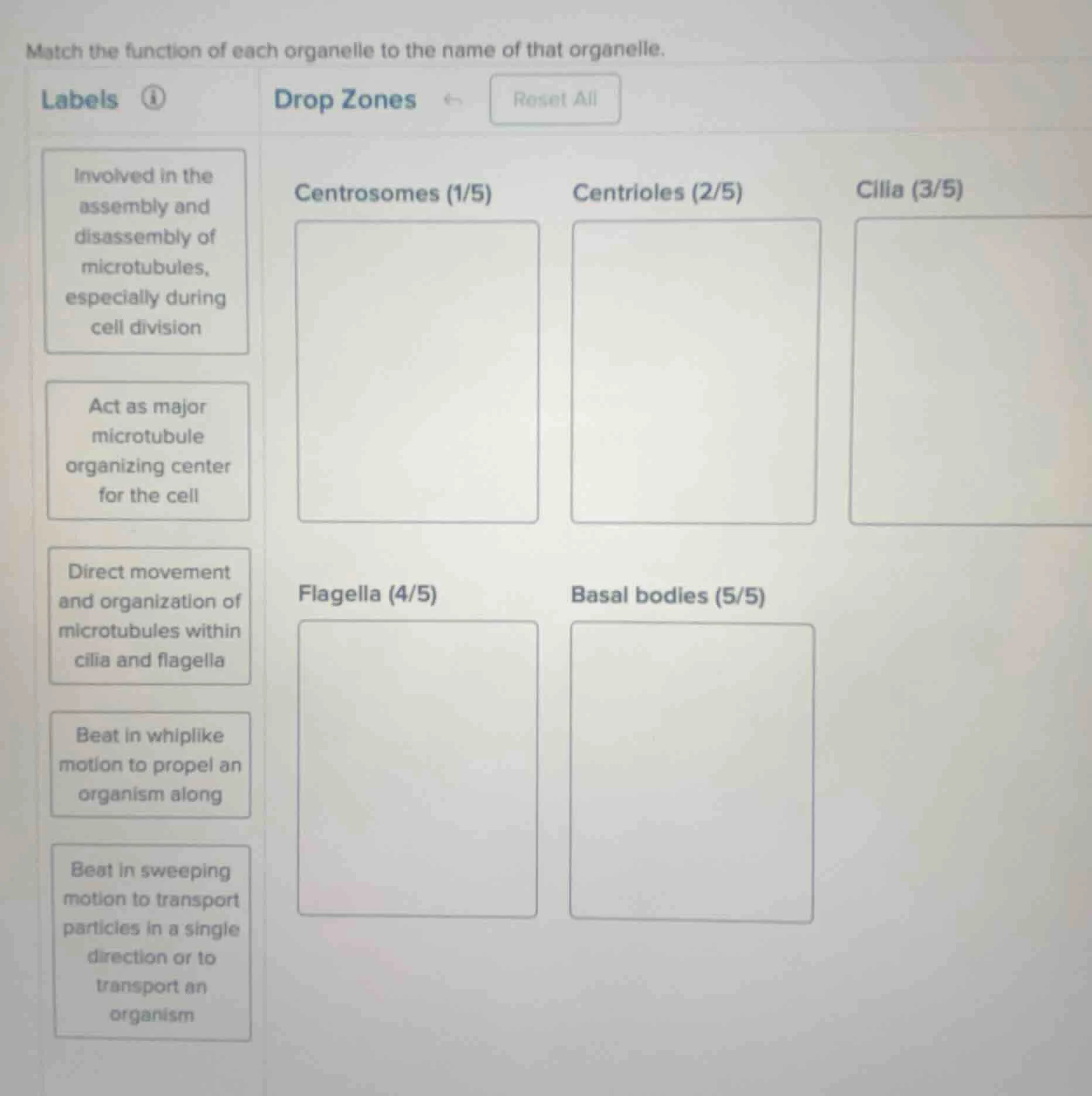 match the function of each organelle to the name of that organelle. lab…