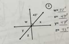 w=\\underline{\\quad}\ x=\\underline{\\quad}\ y=\\underline{\\quad}\ z=…