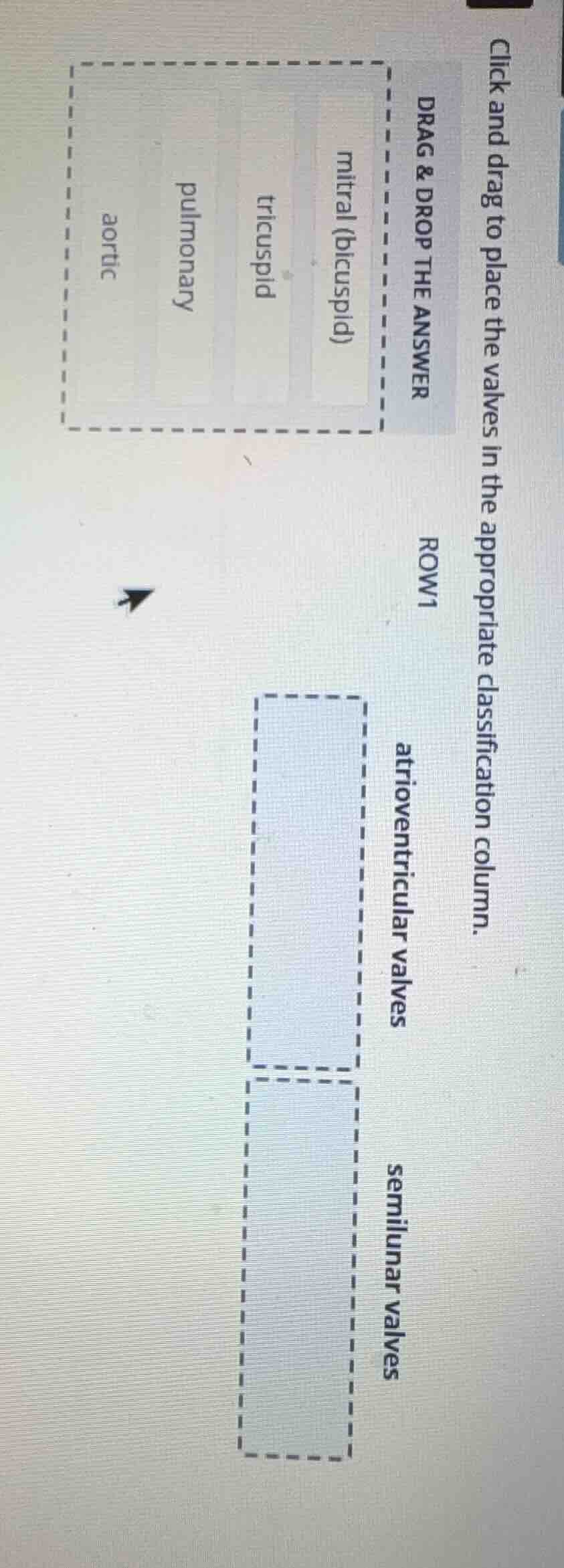 click and drag to place the valves in the appropriate classification co…