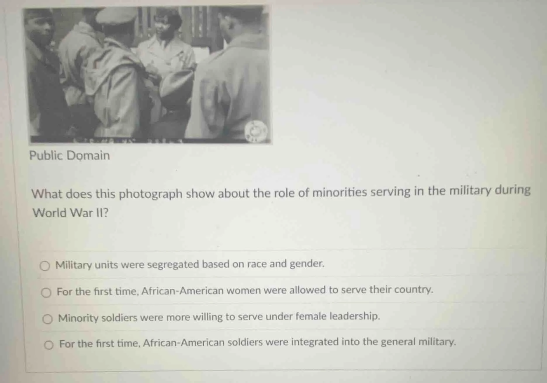public domain what does this photograph show about the role of minoriti…