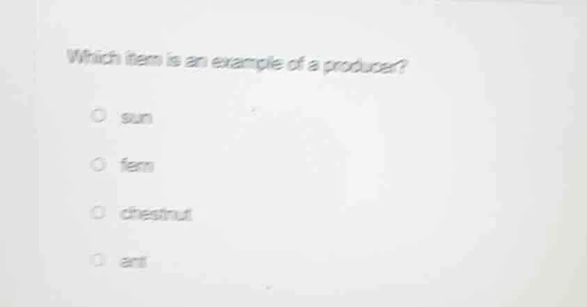 which item is an example of a producer? sun fern chestnut ant