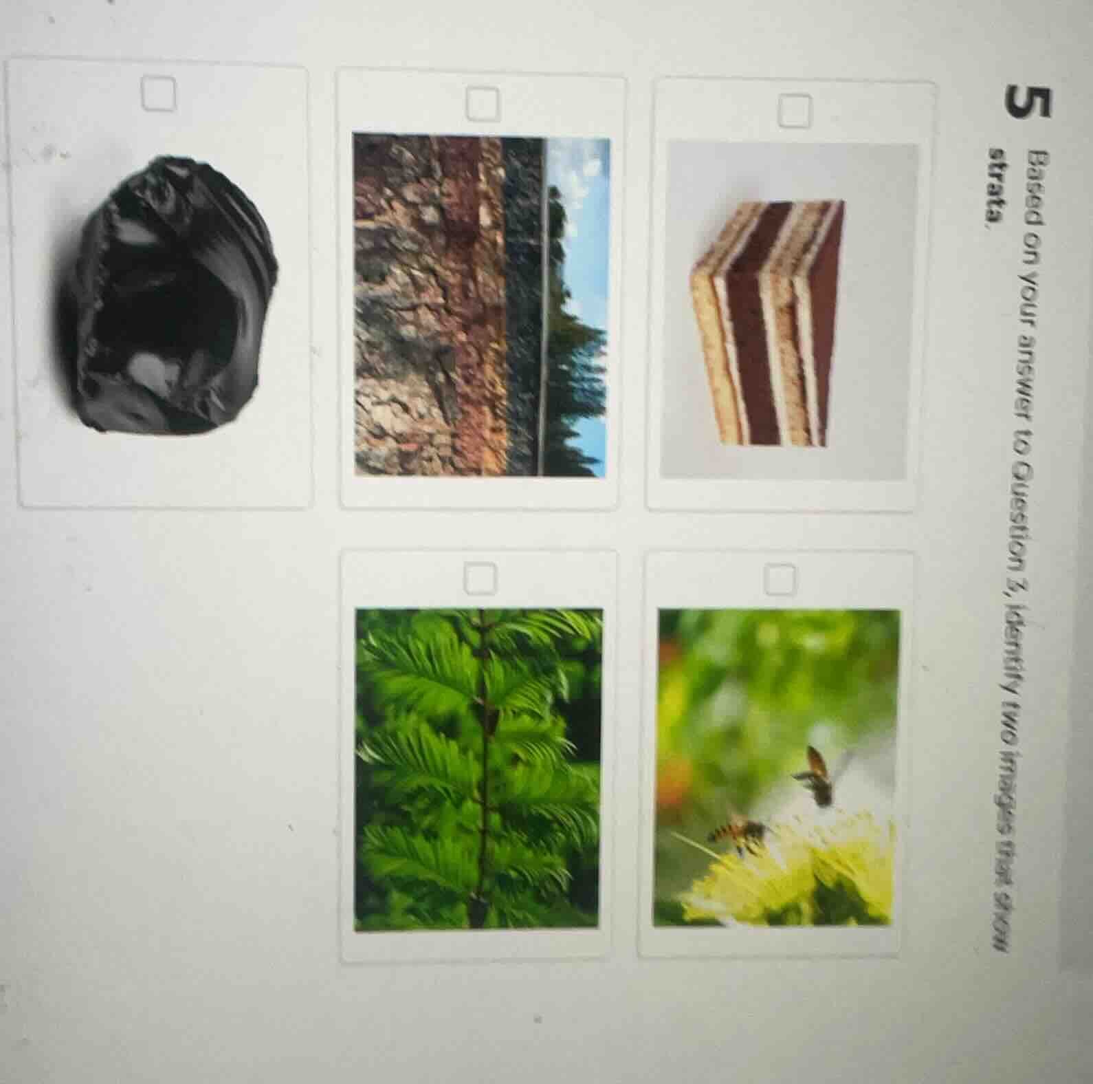 5 based on your answer to question 3, identify two images that show str…