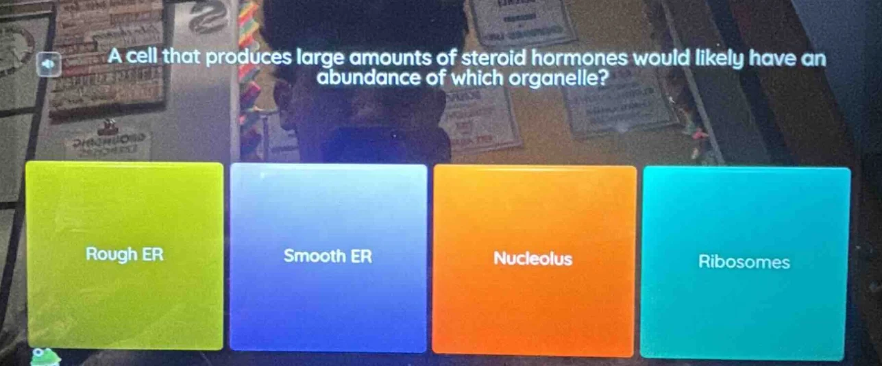 a cell that produces large amounts of steroid hormones would likely hav…