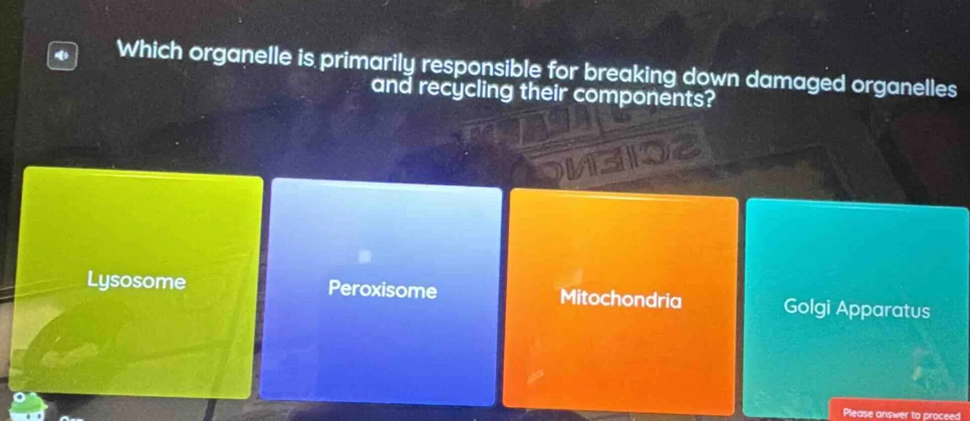 which organelle is primarily responsible for breaking down damaged orga…