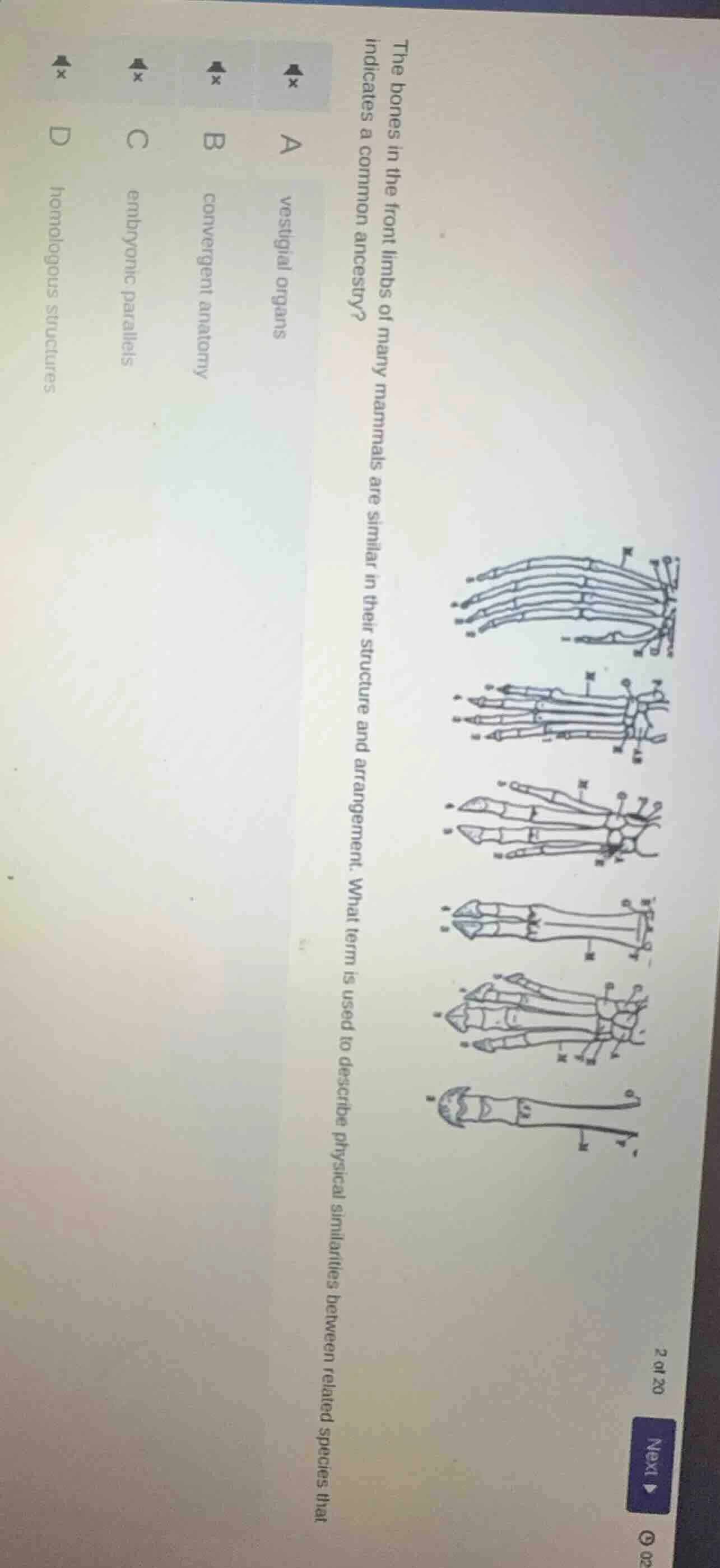 the bones in the front limbs of many mammals are similar in their struc…