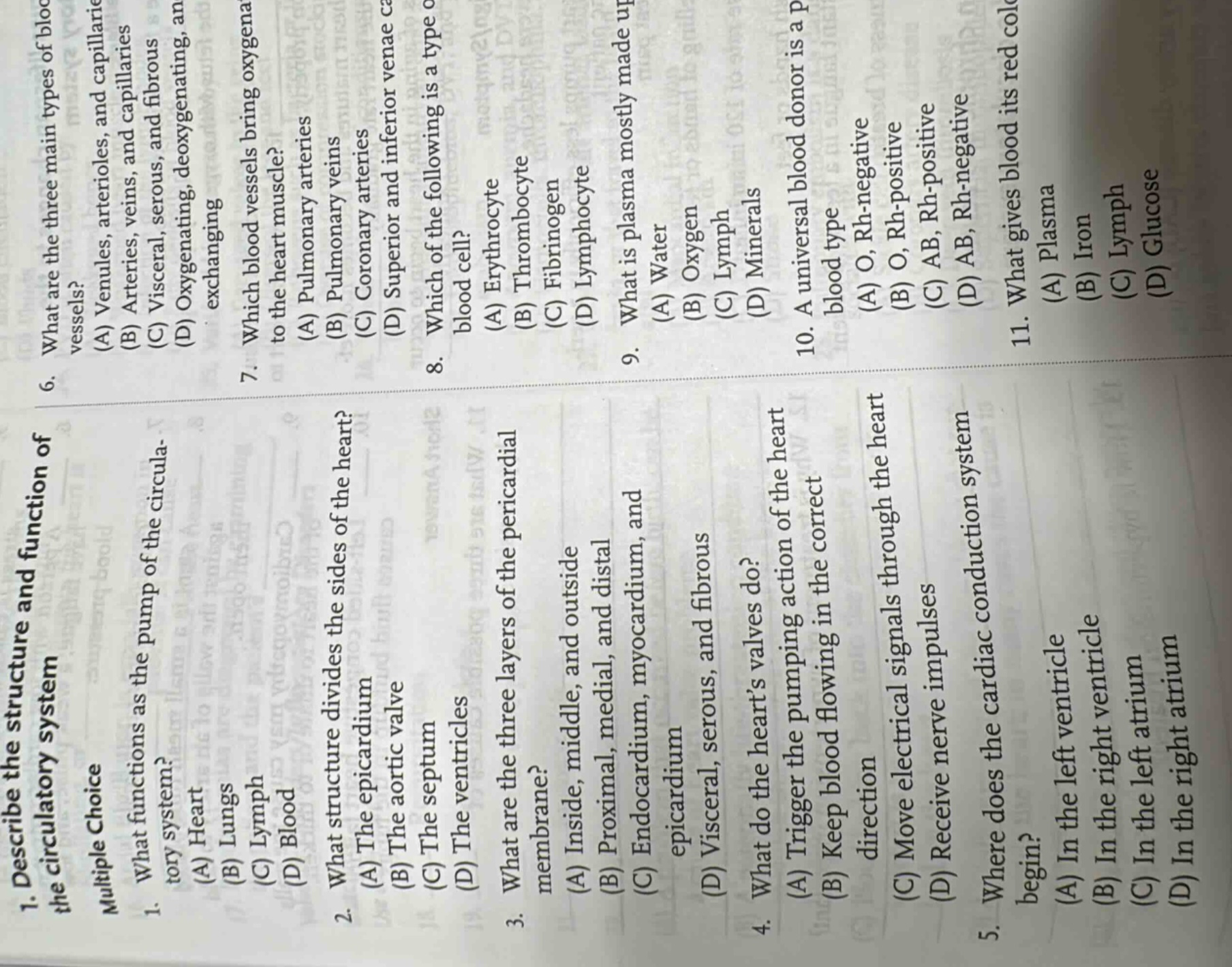 describe the structure and function of the circulatory system multiple …