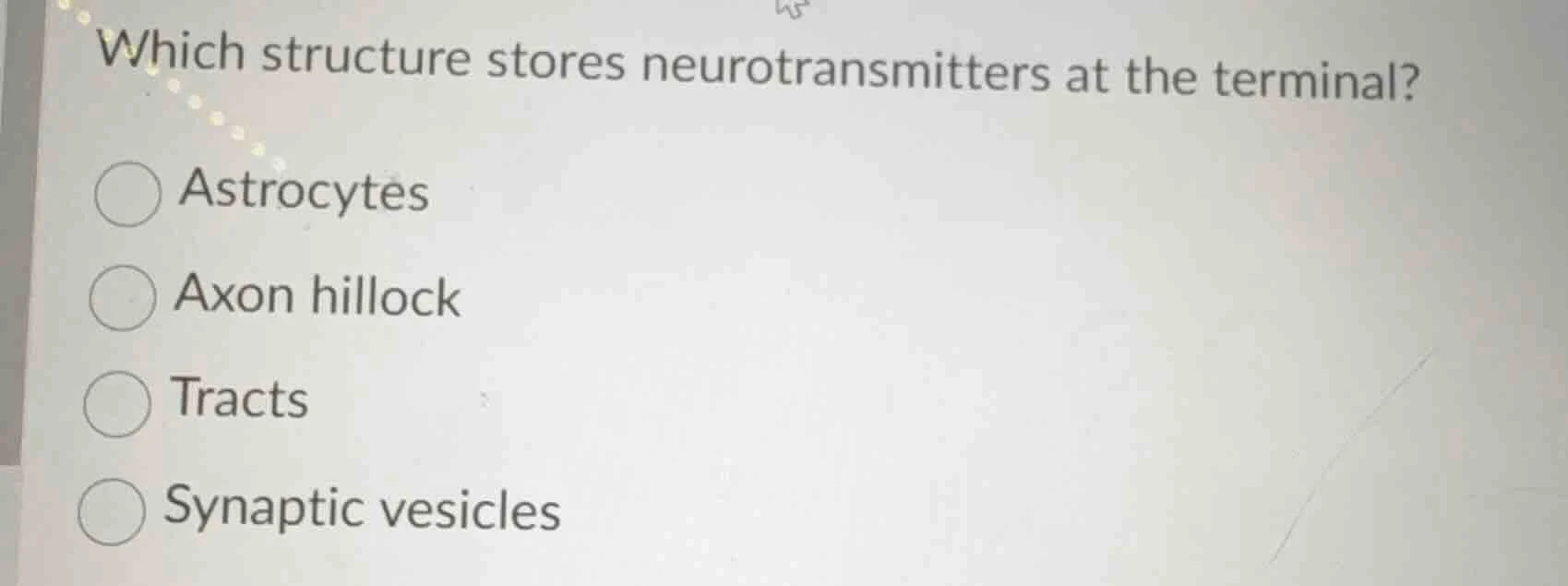 which structure stores neurotransmitters at the terminal? astrocytes ax…