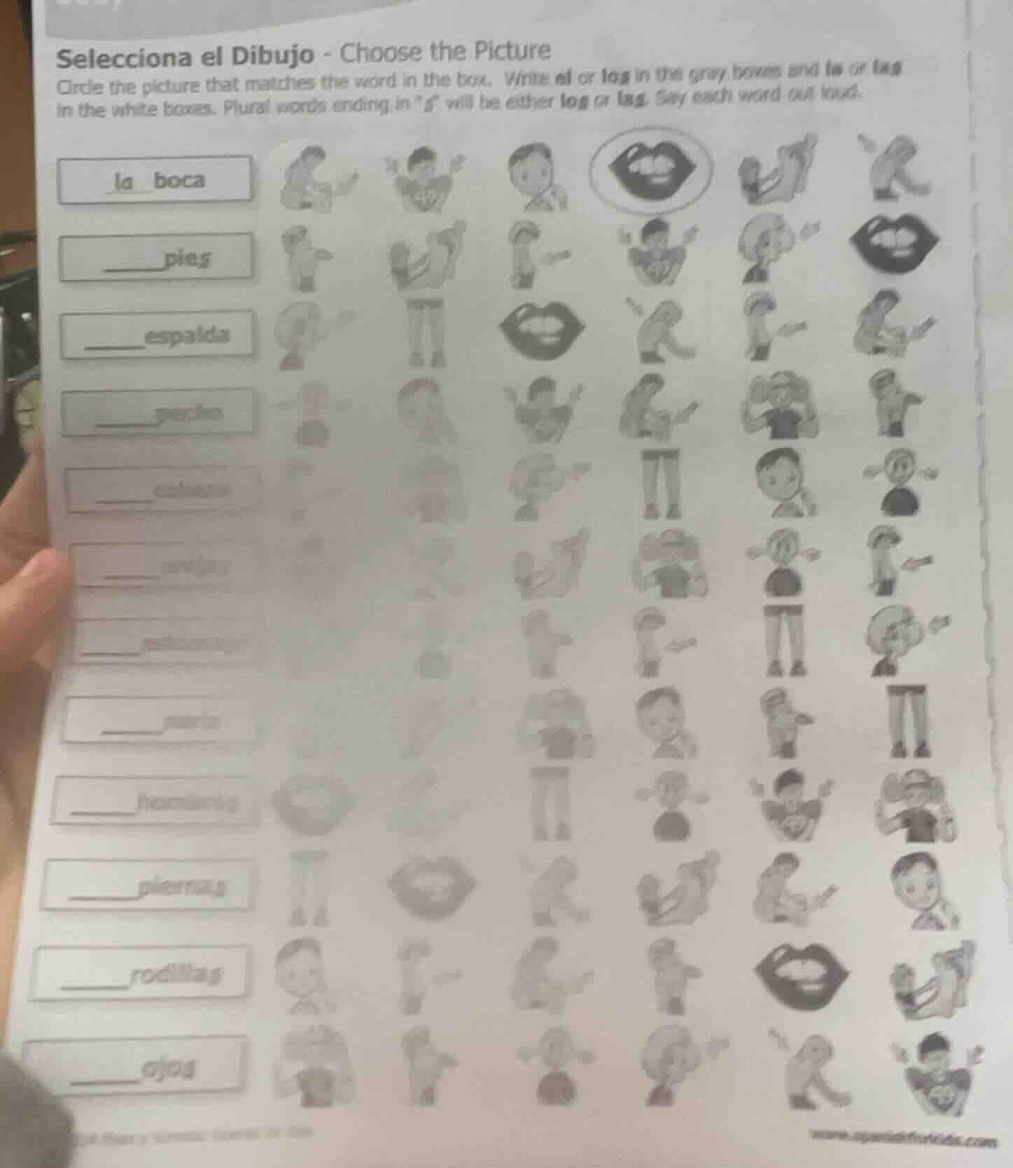 selecciona el dibujo - choose the picture circle the picture that match…