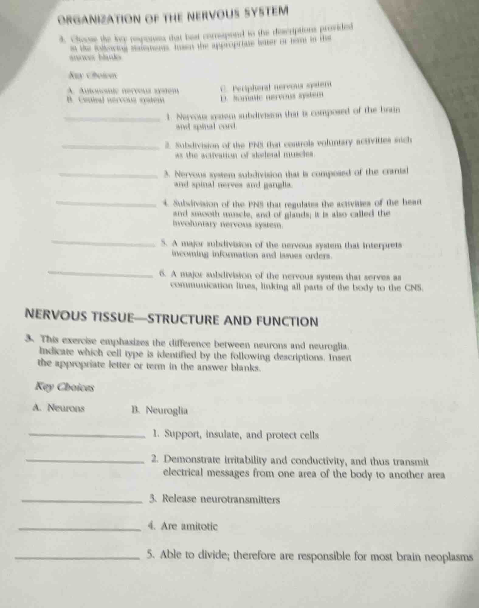 organization of the nervous system a. choose the key responses that bes…