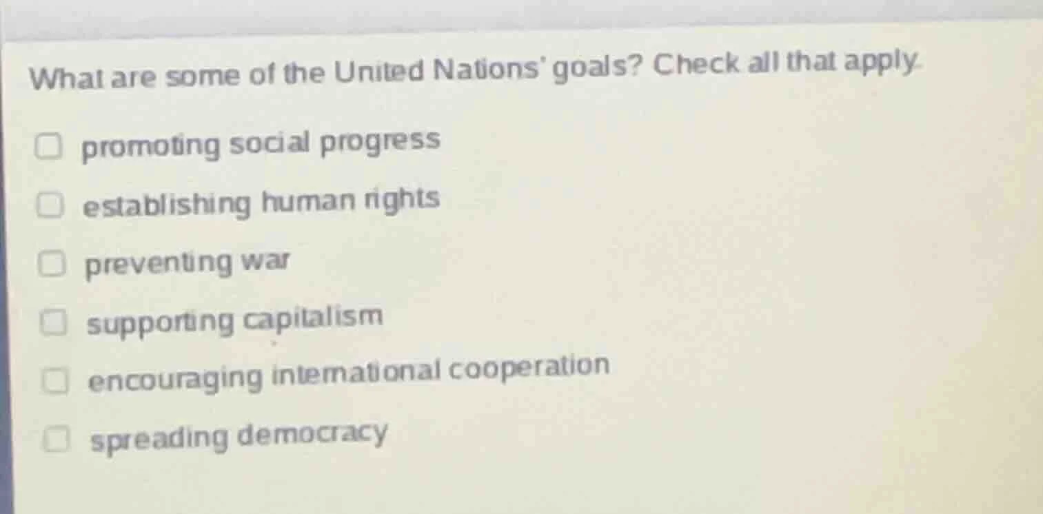 what are some of the united nations goals? check all that apply. promot…