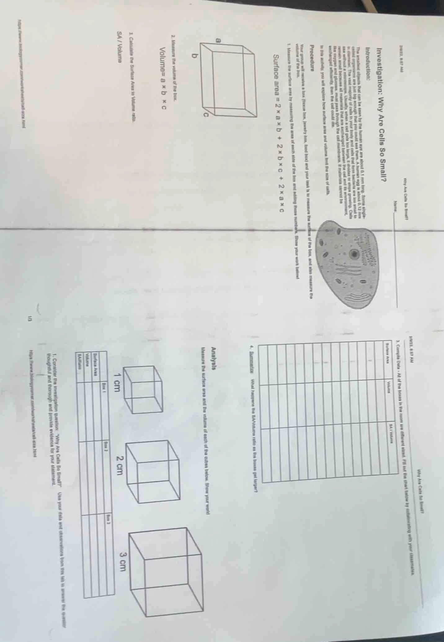 investigation: why are cells so small? introduction: the smallest objec…