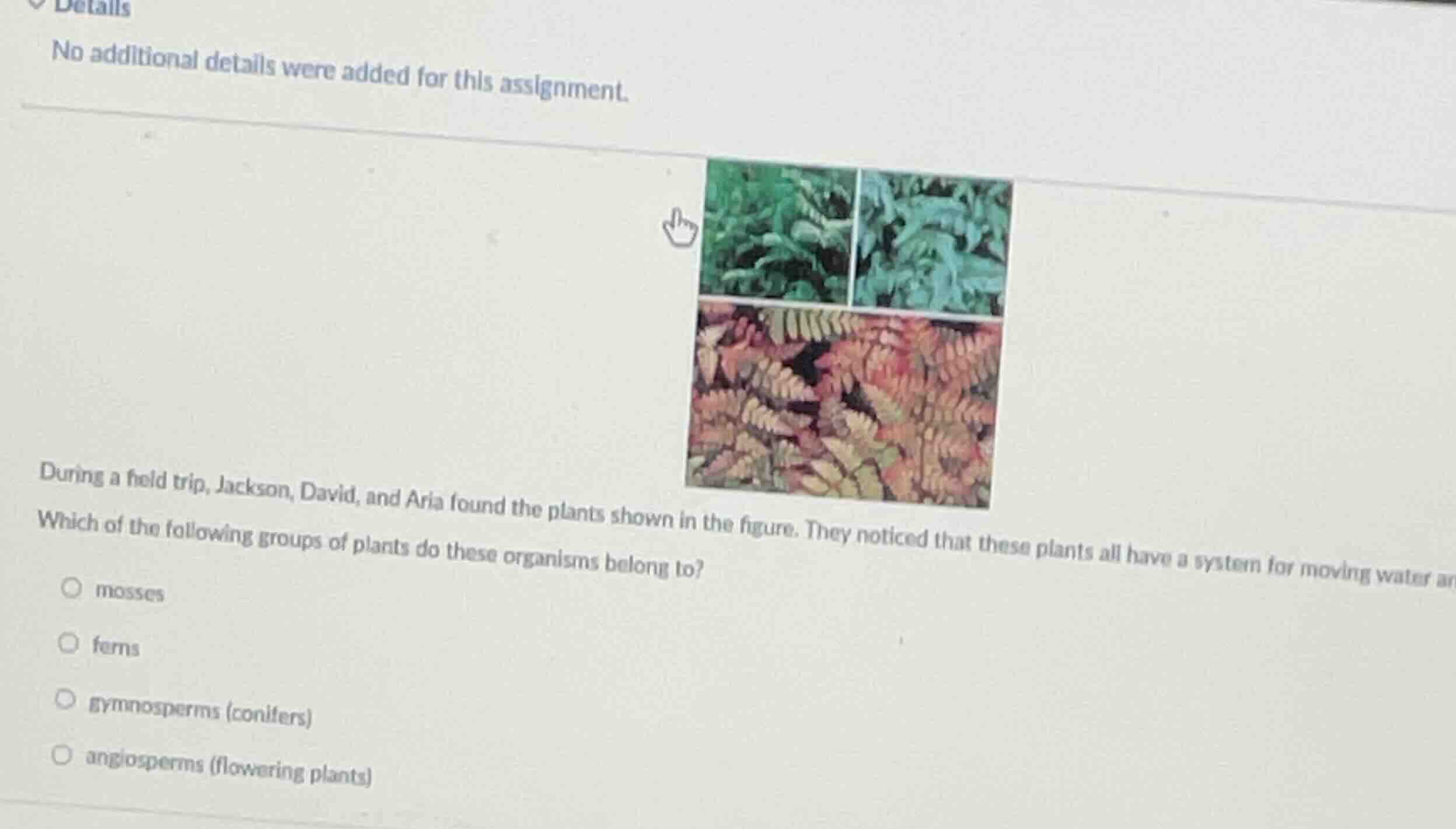 details no additional details were added for this assignment. during a …