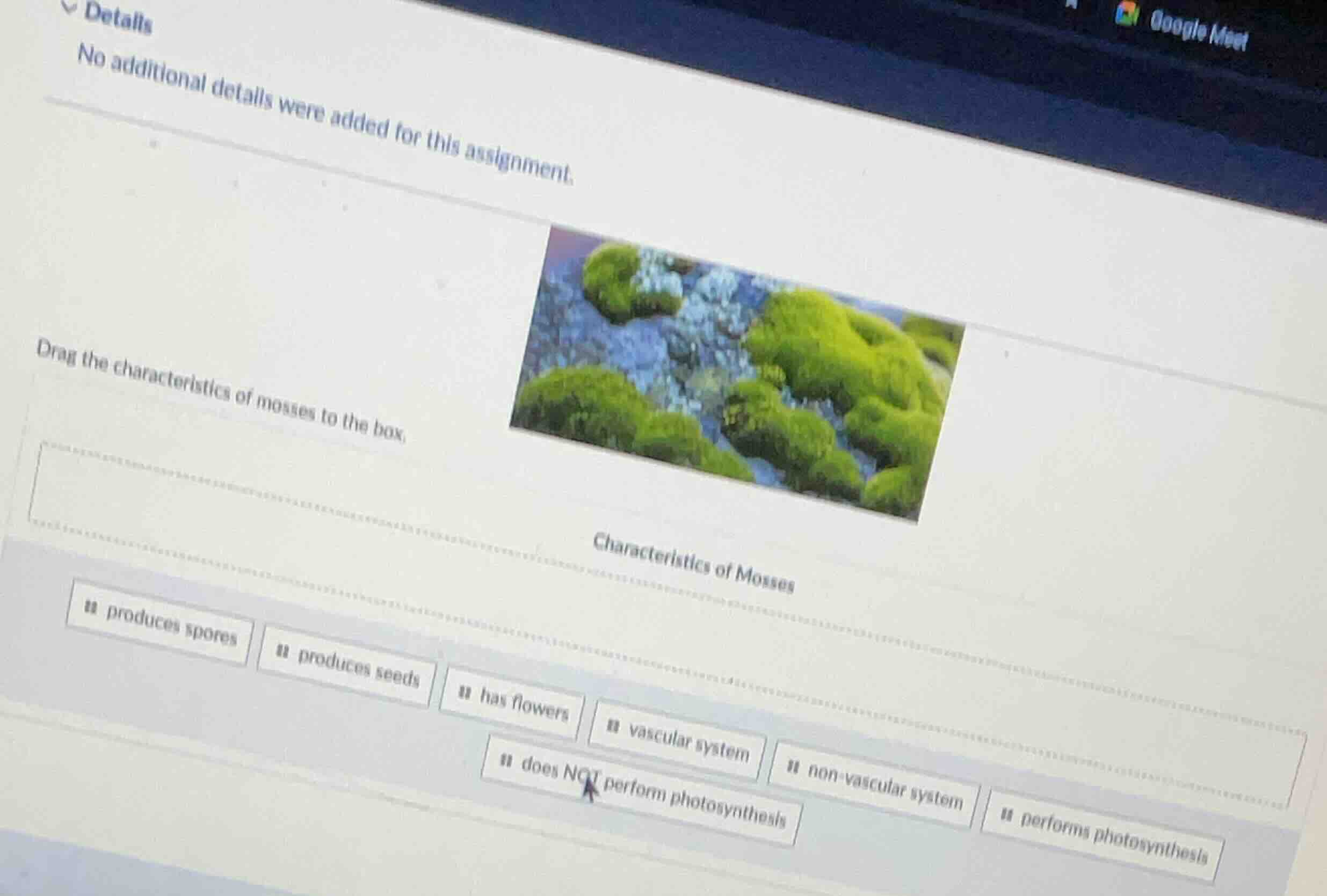 details no additional details were added for this assignment. drag the …