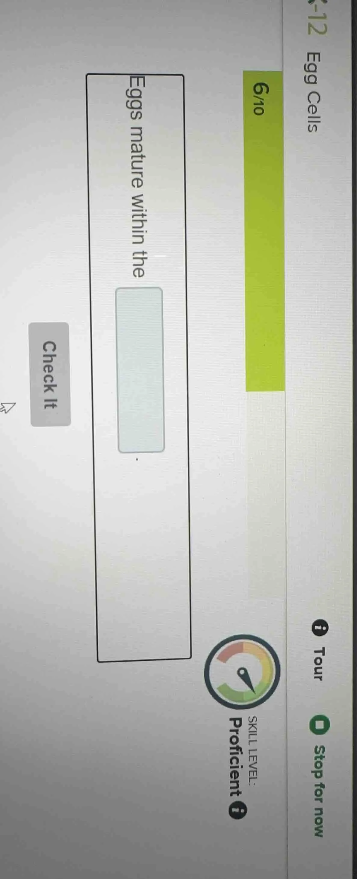 eggs mature within the