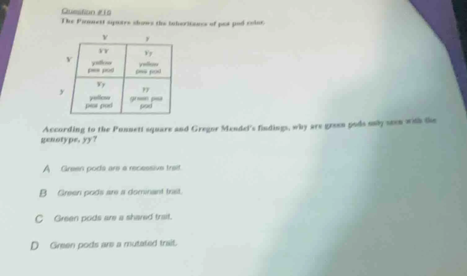 question #10 the punnett square shows the inheritance of pea pod color.…