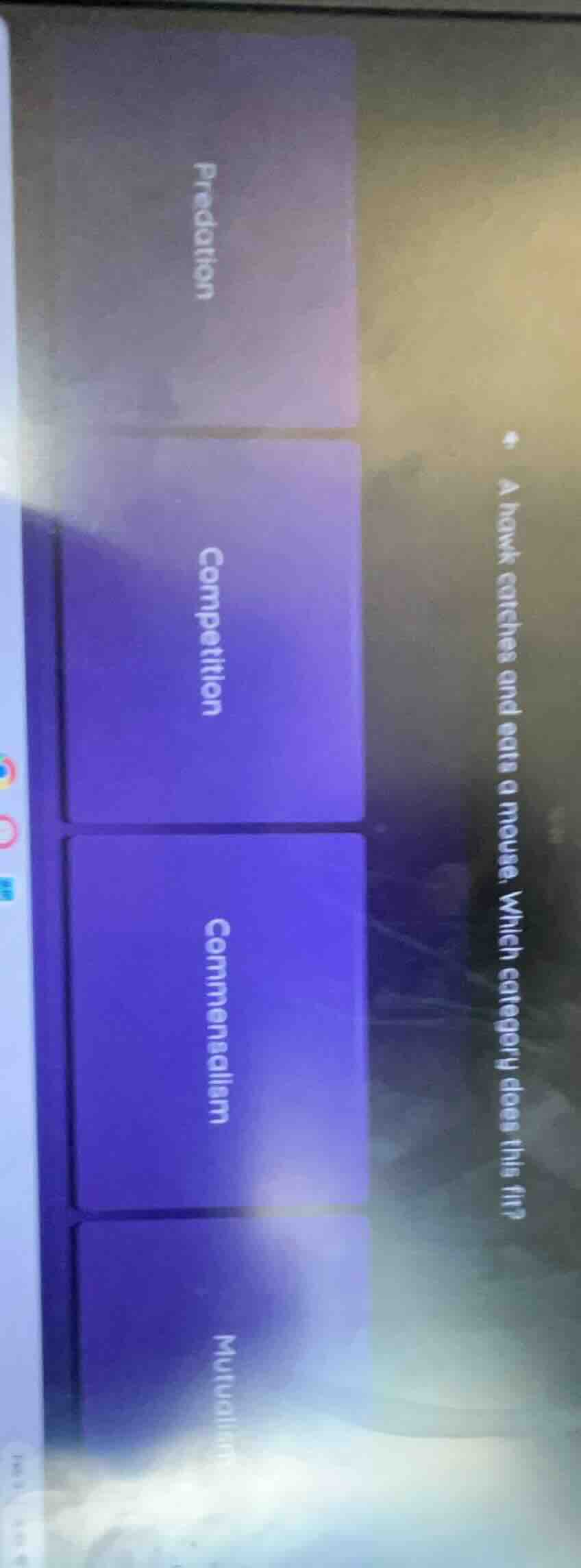 a hawk catches and eats a mouse. which category does this fit? predatio…