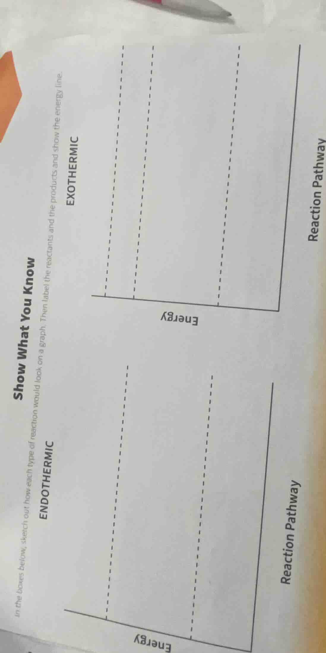 show what you know in the boxes below, sketch out how each type of reac…