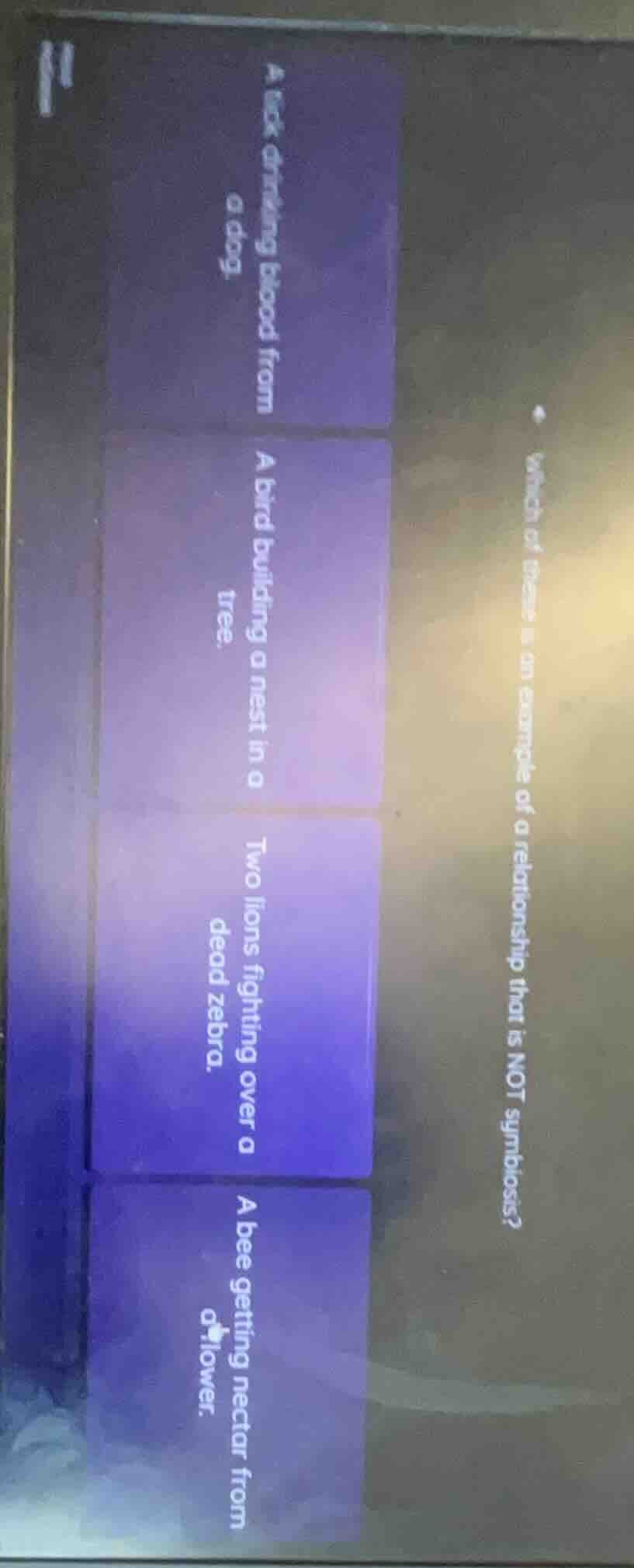 which of these is an example of a relationship that is not symbiosis? a…