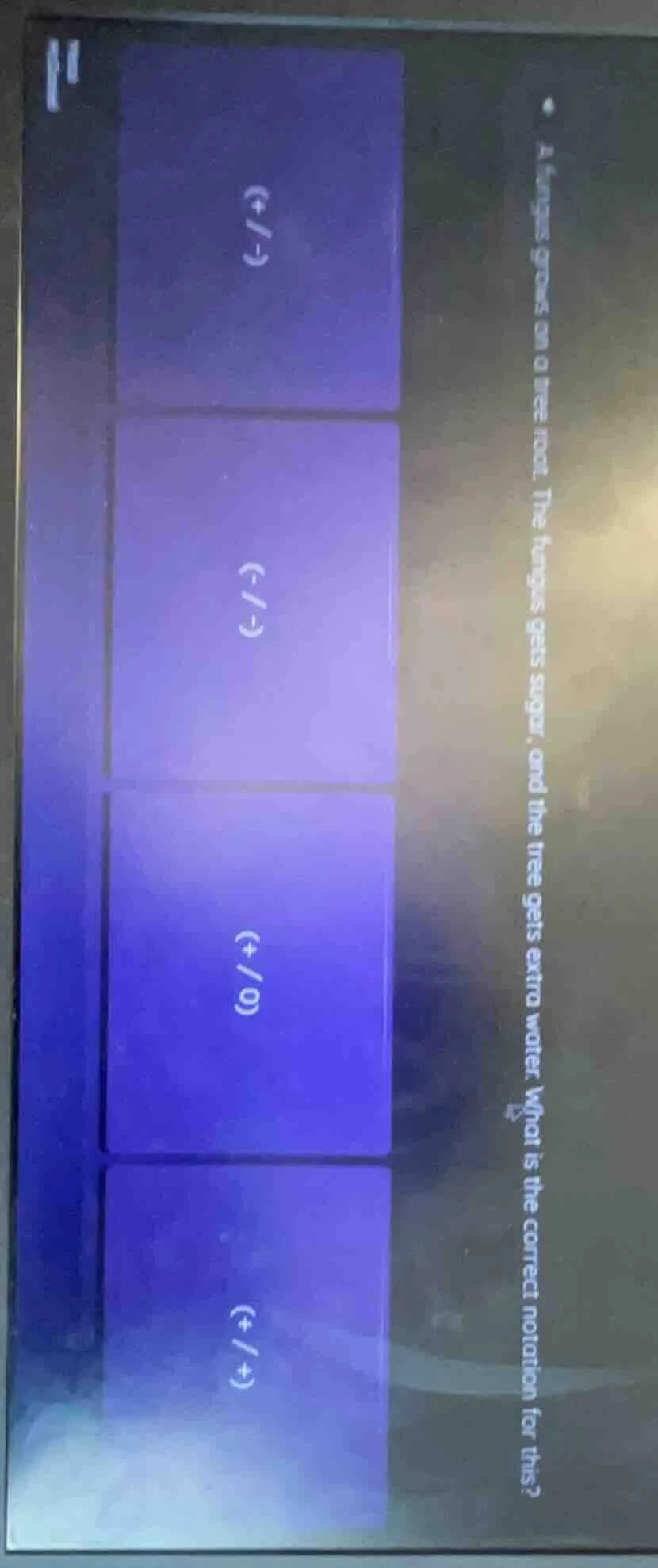 a fungus grows on a tree root. the fungus gets sugar, and the tree gets…