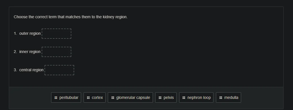 choose the correct term that matches them to the kidney region. 1. oute…