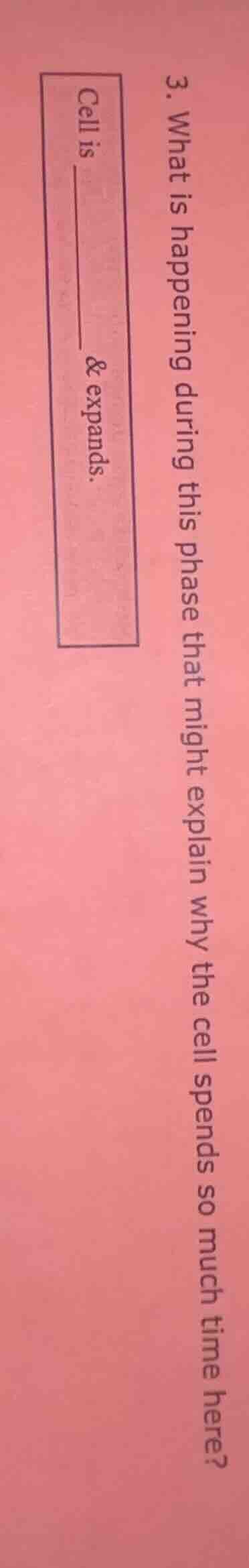 3. what is happening during this phase that might explain why the cell …