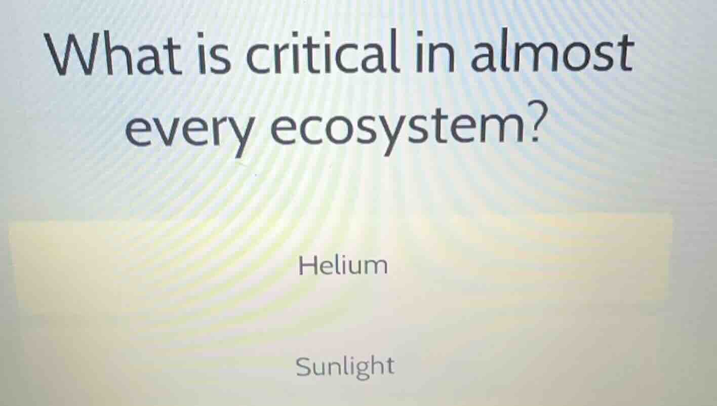 what is critical in almost every ecosystem? helium sunlight